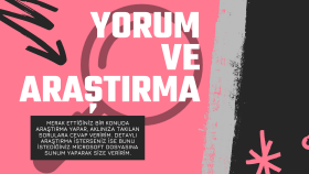 Profesyonel Yorum, Araştırma, İnceleme