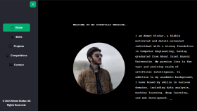 Streamlit Portfolyo Websitesi