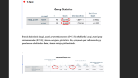 SPSS ile İstatistiksel Grup Karşılaştırması (T-Test Analizi)