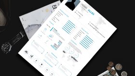 CV / Portfolio - Page 2