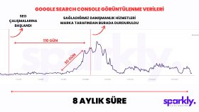KAPSAMLI SEO ÇALIŞMALARI
