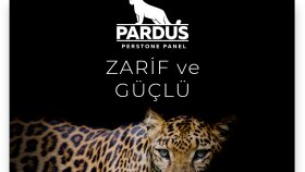 Sosyal Medya Tasarımları 
