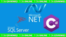 .net ve sql server ile istediğiniz siteyi kodlarım