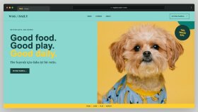 WAG DAILY - Petshop E-Ticaret Konsepti