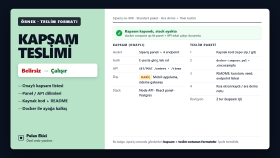 Özel Web Yazılım Kapsam ve Teslim — Demo