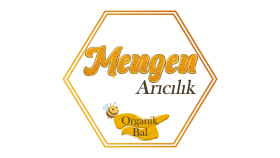 Mengen Arıcılık - Logo animasyonu - İntro