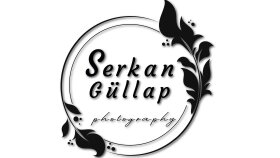 uzman olduğum logo tasarımı konusunda projeler yapabilirim