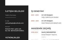 profesyonel cv hazırlama ve tasarımı