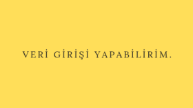 veri girişlerini yapabilirim
