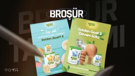 profesyonel bir şekilde broşür tasarımınızı yapabilirim