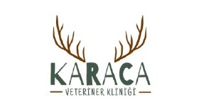 Logo Tasarımı 
