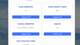 Yazılım, Web, Sistem Güvenliği ve Karmaşık Teknik Çözümler
