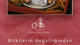 Sosyal Medya Tasarımı