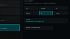 Assetto Corsa İçin Özel Mod, Plugin ve Launcher Geliştiririm