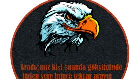 pro programlar kullanarak çeşitli tasarımlar yapıyorum