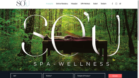 Wix.com için Online Randevulu Spa Merkezi Web Sitesi Yapımı