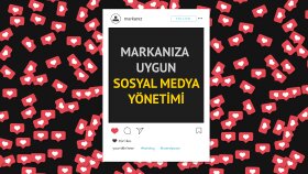 Sosyal Medya Yönetimi