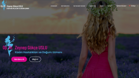 profesyonel görünümlü etkileyici ve hızlı web sitesi yaparım