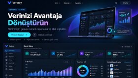 Verimly SaaS Analiz Dashboard Web Sitesi