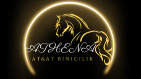 logo tasarım