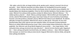 Türkmence çeviri yaparım
