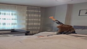 Skinsensual- BB krem ve Göz altı serumu