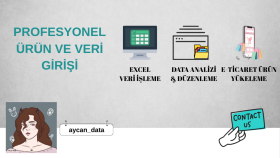 profesyonel ürün ve veri girişi yapabilirim
