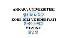 Korece Türkçe İngilizce çeviri yapabilirim