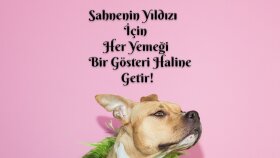 Konsept Post Tasarımı