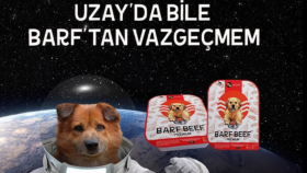 en acil ve en etkili postu senin için tasarlayabilirim