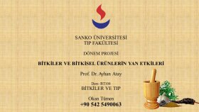 PowerPoint Sunum. İyi Fikirler, Etkili Sunumlar.