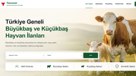 kusursuz çalışan web uygulamaları inşa ederim