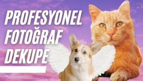 fotoğraflarınızın arka planlarını temizlerim