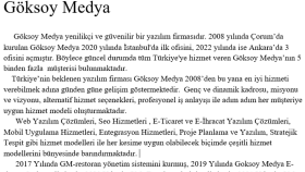 Şirketlerin İnternet Siteleri Üzerine