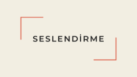 Haber Seslendirme