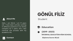 sizin için profesyonel bir cv hazırlayabilirim