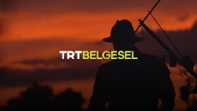 Profesyonel seslendirme belgesel seslendirmesi