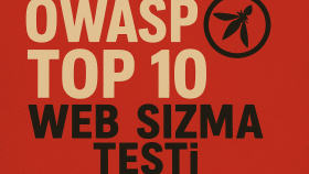 web uygulamalarınızın tüm güvenlik açıklarını bulurum