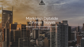 size profesyonel bir WordPress sitesi kurarım