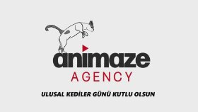 Özel Gün Animasyonu 