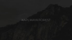 Kaplıkaya Ormanı - Bursa
