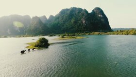 Videolarınızı Profesyonelce Düzenliyor, Etki Bırakıyorum