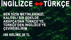 ben sizin ingilizce metinlerinizi çevirebilirim