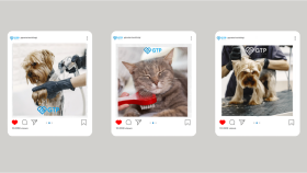  Veteriner & Pet Klinikleri için Instagram Tasarımı