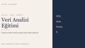 online canlı veri analizi eğitimi veririm