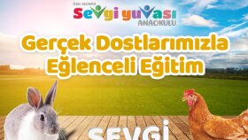 etkileşim arttırıcı sosyal medya tasarımı yapabilirim