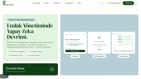 modern ve profesyonel web sitesi kuruyorum