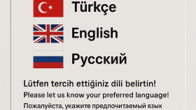 İngilizce, Rusça, Türkçe dillerinde çeviri yaparım