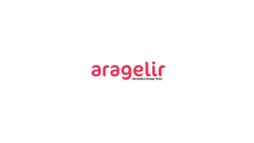 Ara Gelir Logo Çalışması