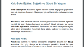 Kick-boks eğitimi veren bir spor kulübü için yazdığım içerik